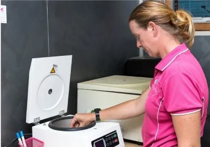 Skin & Coat Conditions category