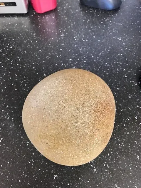 Horse Emergency & First Aid category