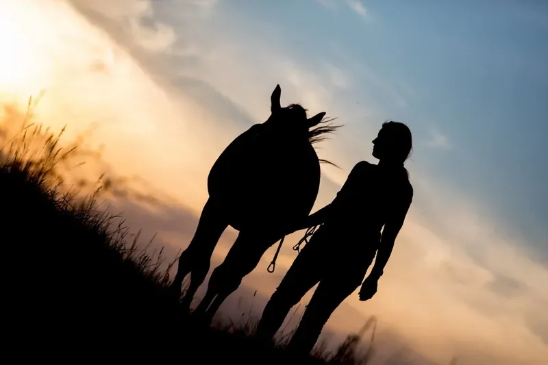 Horse Emergency & First Aid category