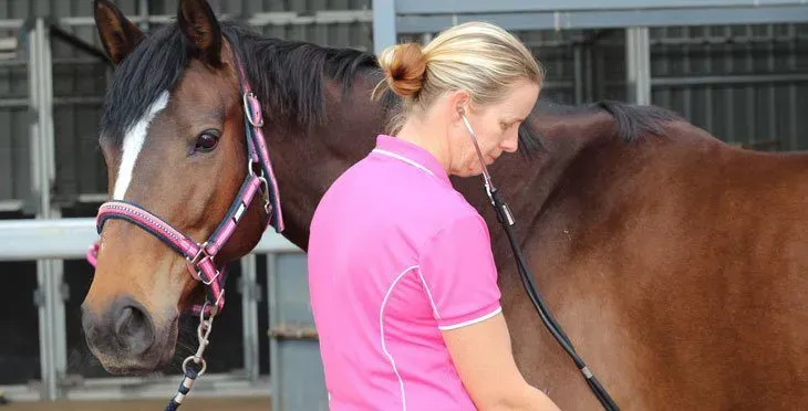 Vaccination category