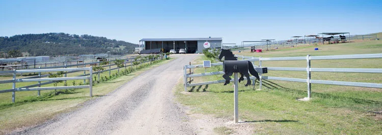 Horse Breeding category