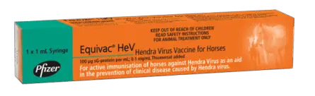 horse-vet-hendra1