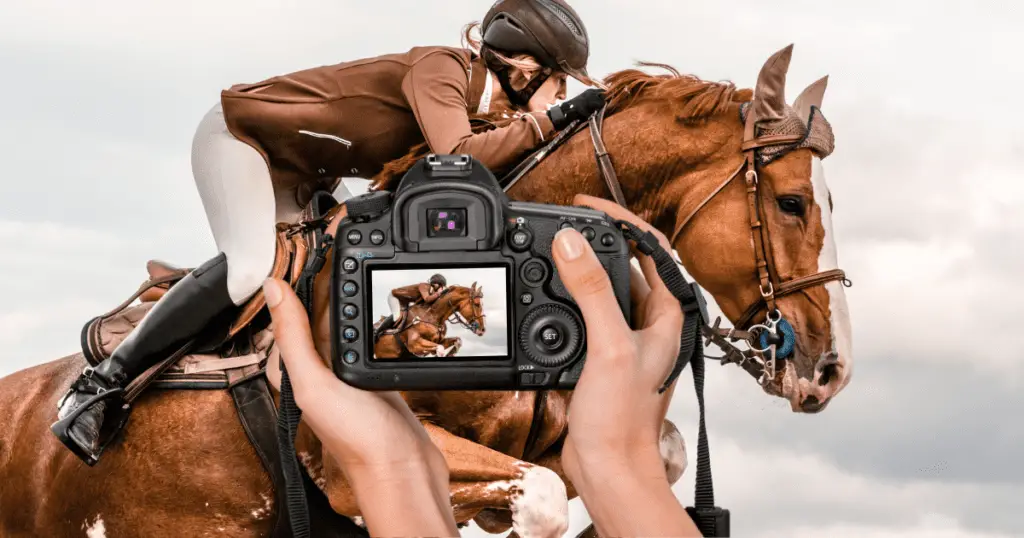 Easy Tips to Prepare for a Professional Horse Photography Session