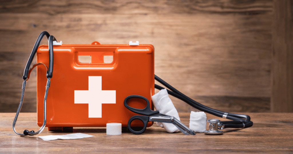 First Aid Kit : How to Respond in an Equine Emergency 