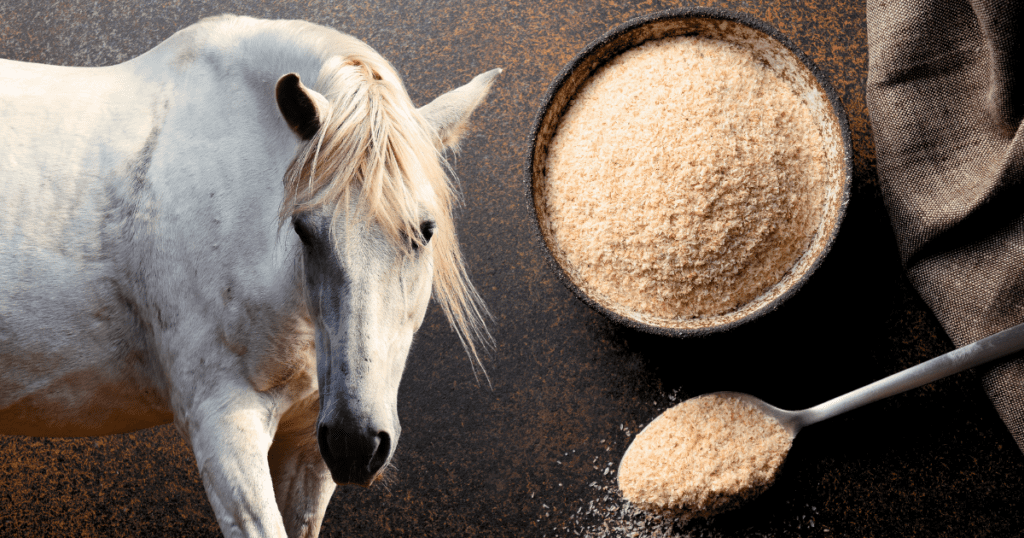 Should I feed my horse psyllium husks?