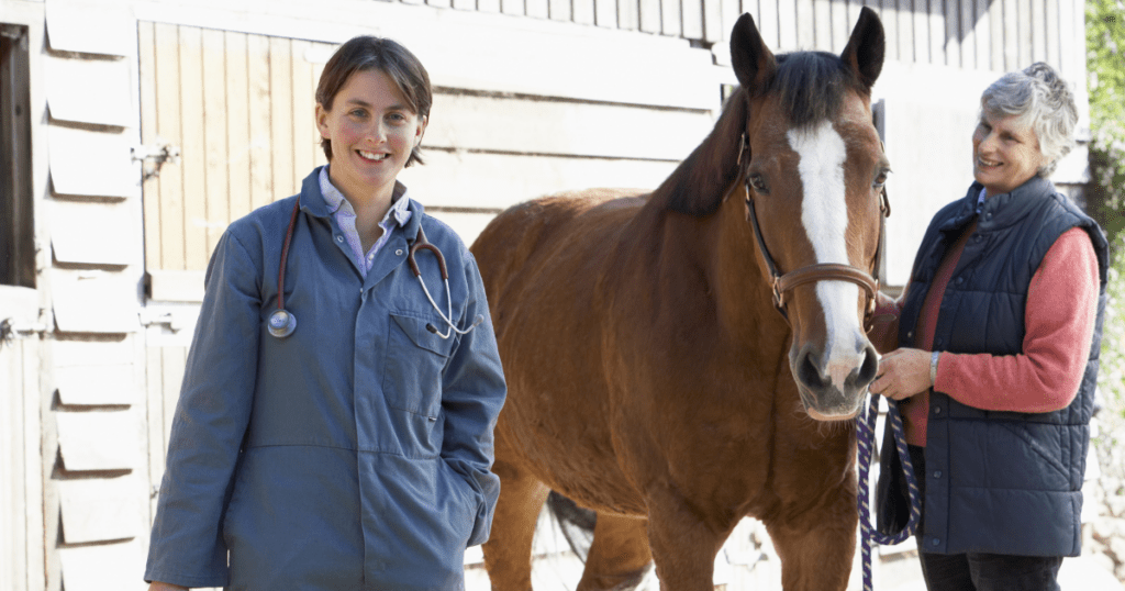 What is Equine Herpes Virus and why vaccinate?